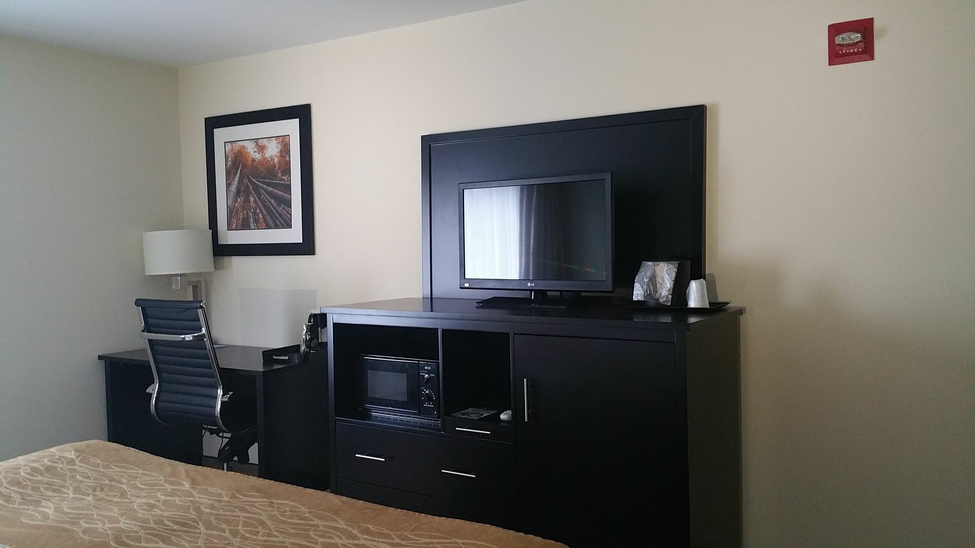 Oyo Hotel Rome West Ga Екстер'єр фото